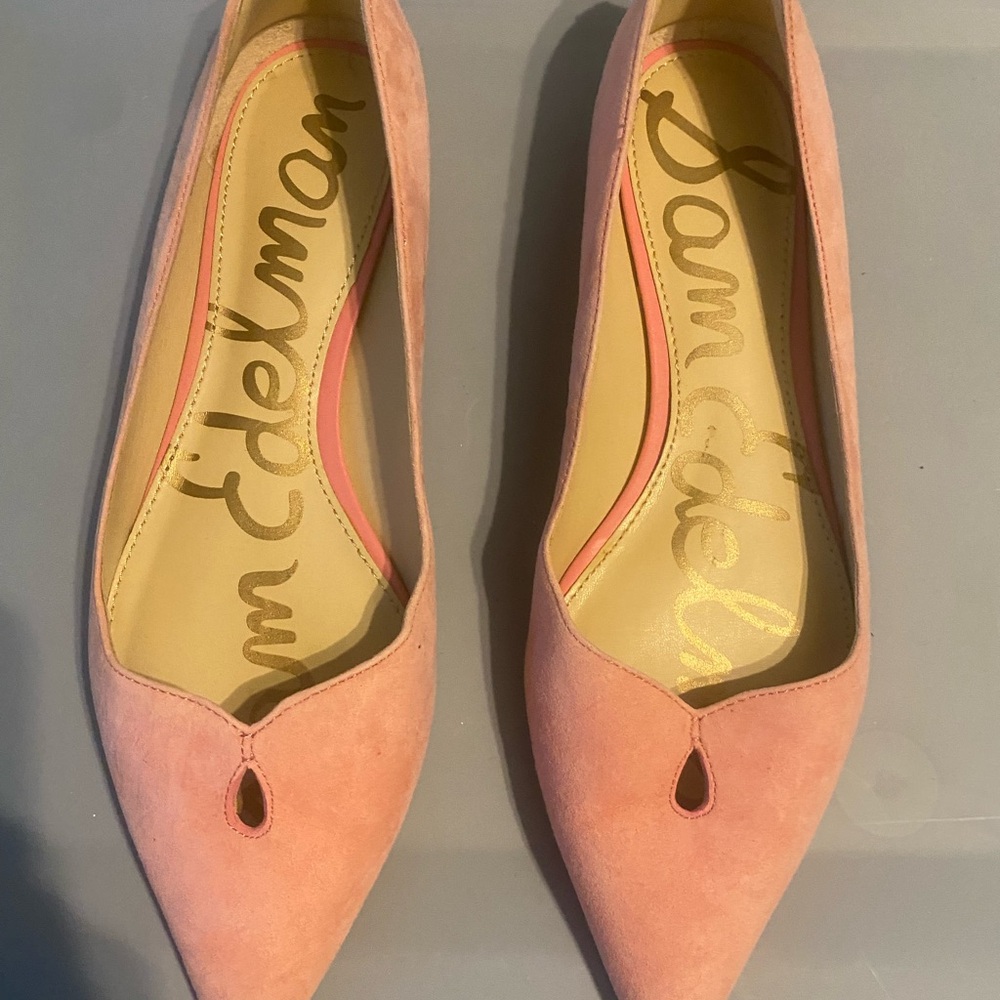 Sam Edelman Blush Pink Pointed Flats